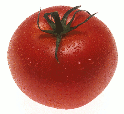 Clown Nose! (Is actually a tomato) <- Don't believe anything these parenthesis say, they're liars. <- ( No we're not) <- Yes they are....