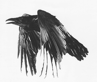 The Raven: By Edger Allan Poe