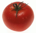 Clown Nose! (Is actually a tomato) <- Don't believe anything these parenthesis say, they're liars. <- ( No we're not) <- Yes they are....