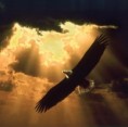 On Eagle's Wings: by Eve Engelbrite